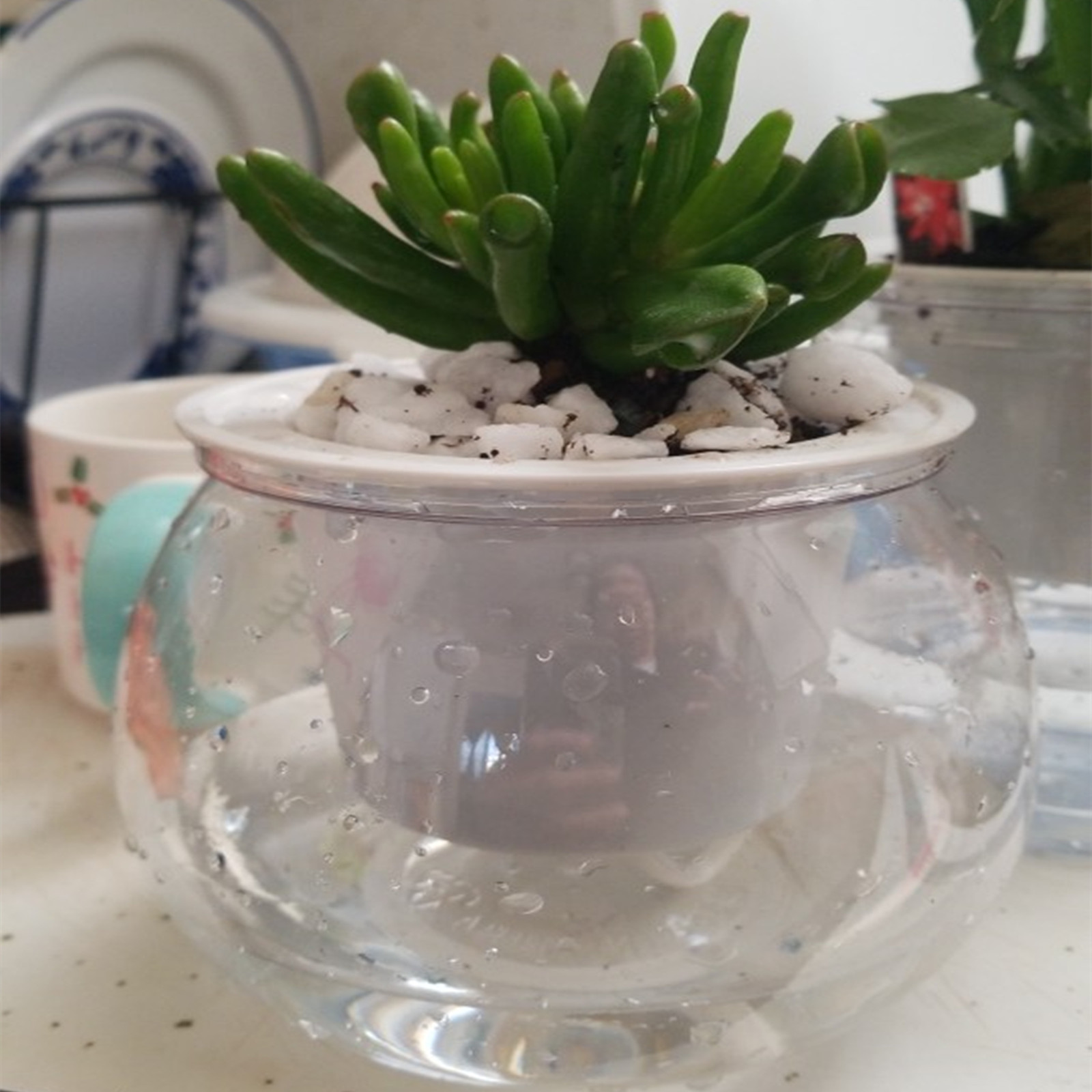 Mini Bonsai Zen Garden - Self Watering Planter หม้อมินิกระถางดอกไม้ในร่มกระถางต้นไม้ Succulent Plant