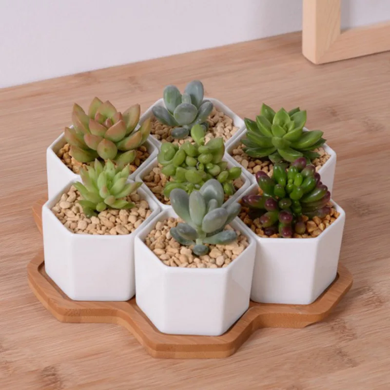 Mini Bonsai Zen Garden - ชุด 4/7/9/10 หกเหลี่ยมกระถางดอกไม้เซรามิคสีขาวกระถางต้นไม้ Succulent Plant พร้อมขาตั้งไม้ไผ่
