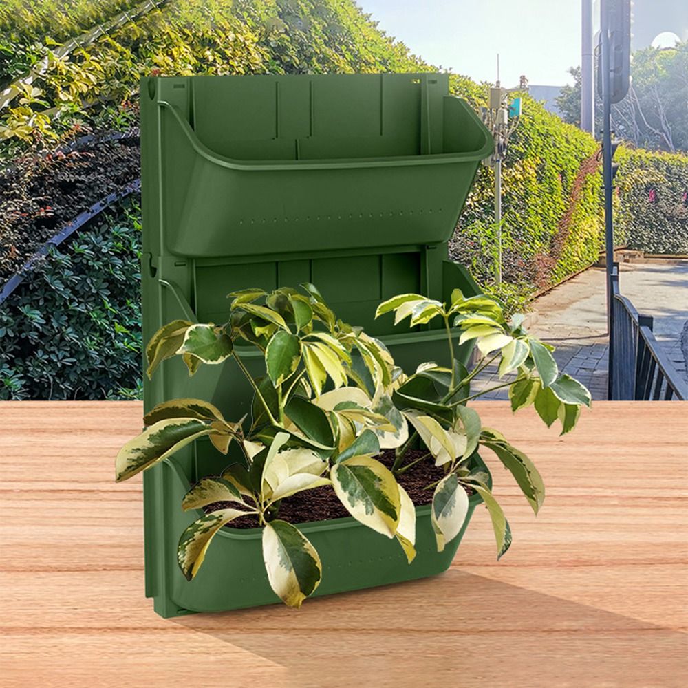 กระถางแขวนติดผนังสำหรับตกแต่งส - Bonsai Garden Wall บทวิจารณ์และราคา