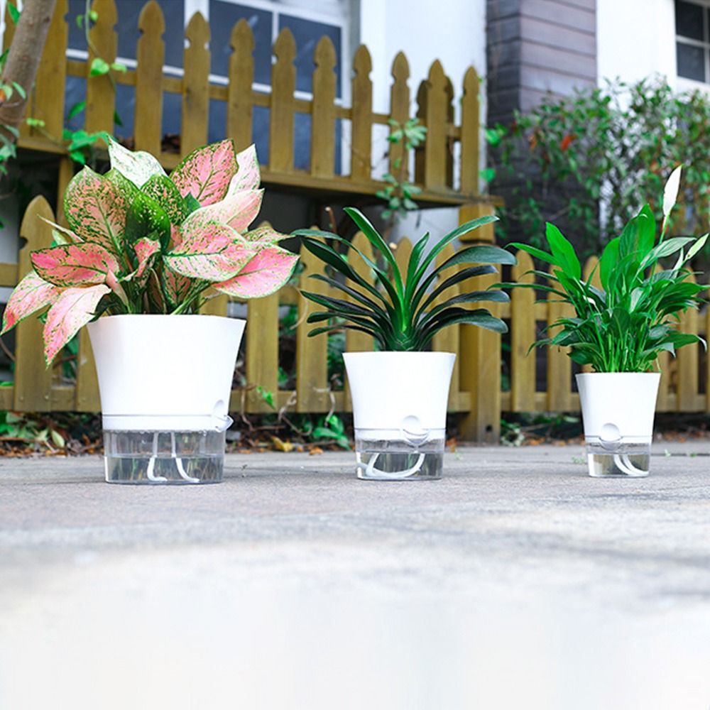 กระถางดอกไม้พลาสติกสองชั้นใสรด - Mini Bonsai Zen Garden บทวิจารณ์และราคา