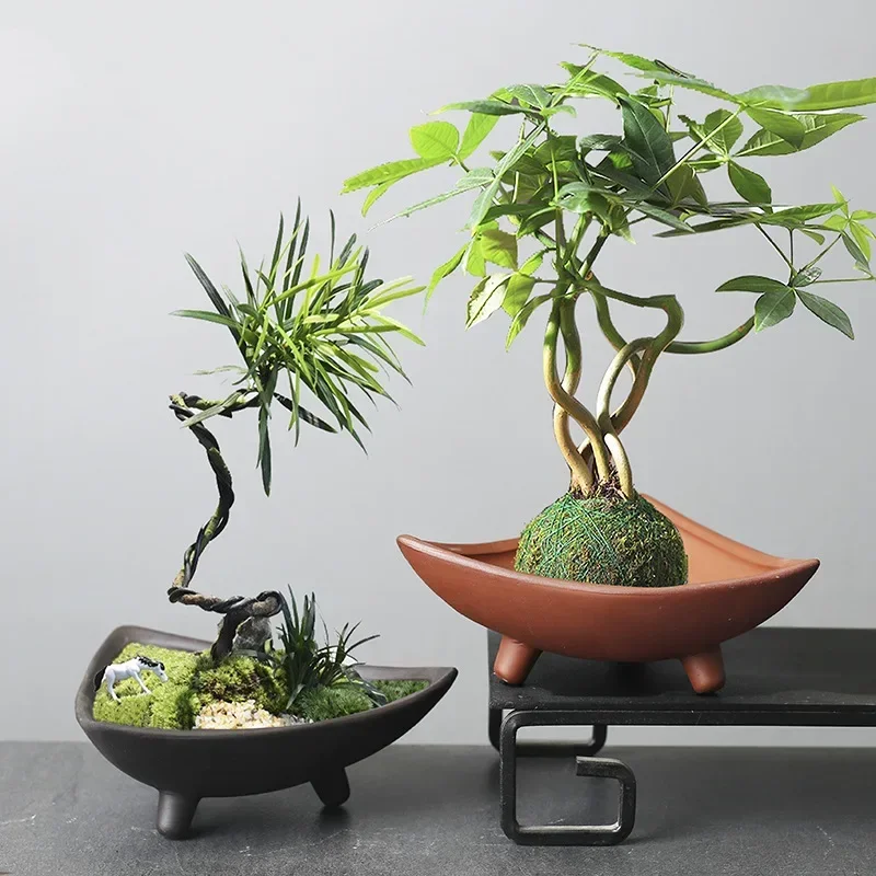 กระถางต้นไม้เซรามิคส่วนบุคคลสำ - Mini Bonsai Zen Garden บทวิจารณ์และราคา