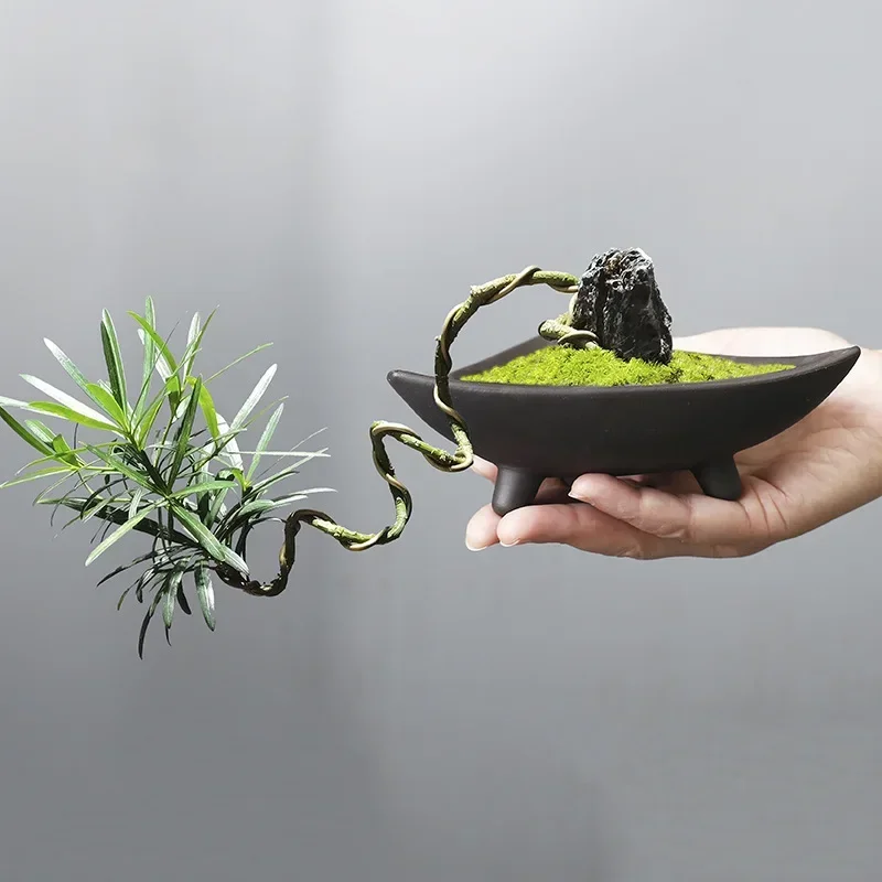 กระถางต้นไม้เซรามิคส่วนบุคคลสำ - Mini Bonsai Zen Garden บทวิจารณ์และราคา