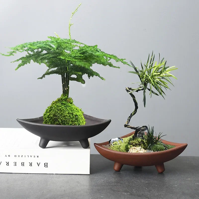 กระถางต้นไม้เซรามิคส่วนบุคคลสำ - Mini Bonsai Zen Garden บทวิจารณ์และราคา