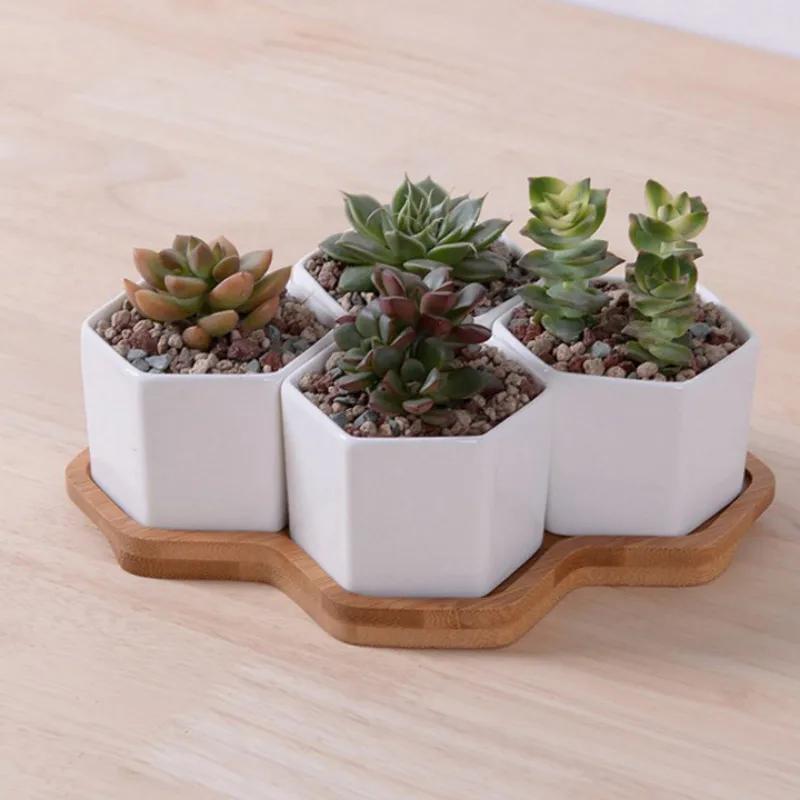 ชุด 4/7/9/10 หกเหลี่ยมกระถางดอ - Mini Bonsai Zen Garden บทวิจารณ์และราคา