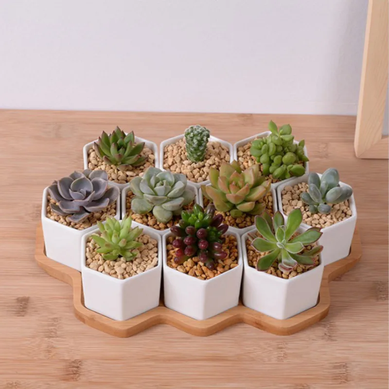 ชุด 4/7/9/10 หกเหลี่ยมกระถางดอ - Mini Bonsai Zen Garden บทวิจารณ์และราคา