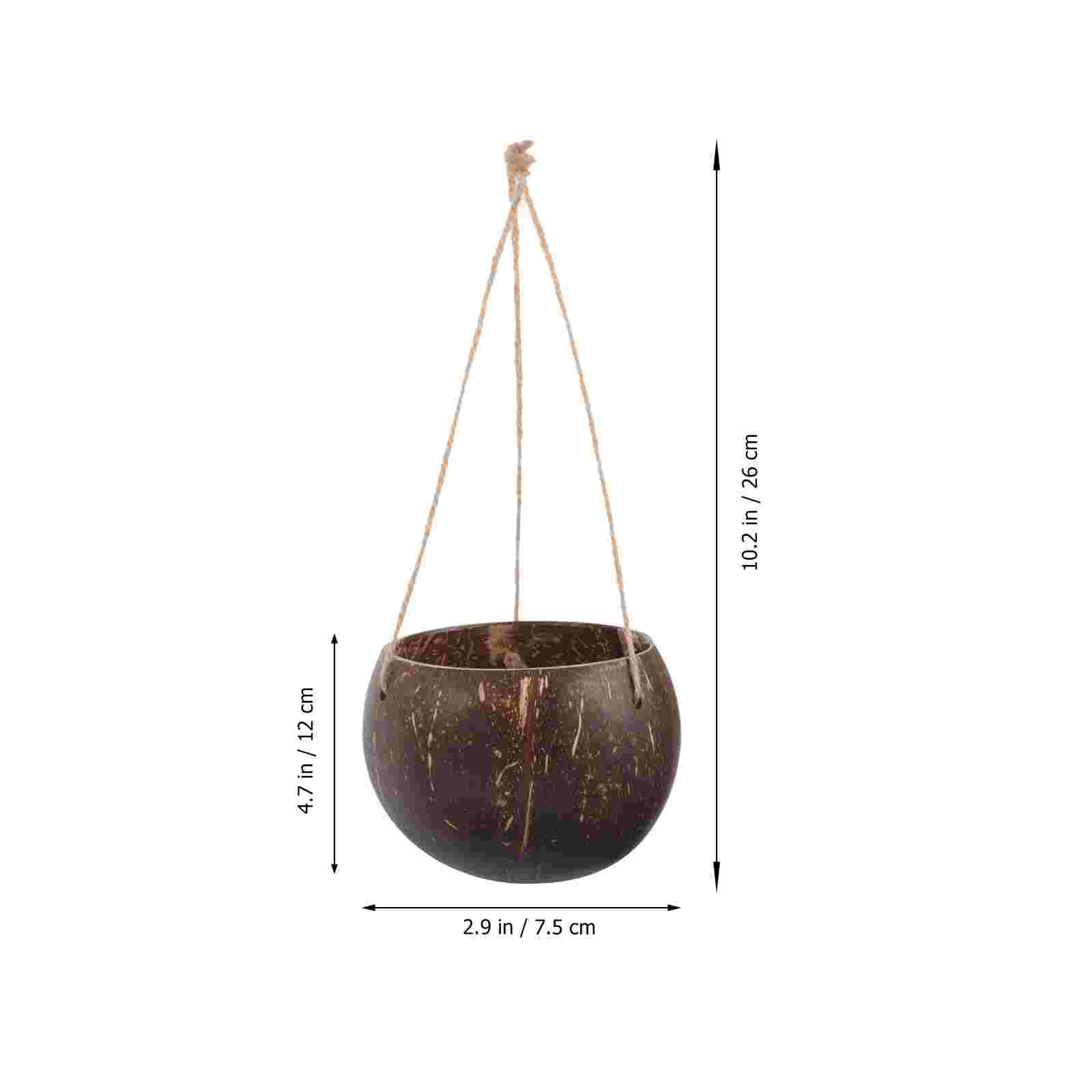 กระถางดอกไม้กะลามะพร้าวธรรมชาต - Mini Bonsai Zen Garden บทวิจารณ์และราคา